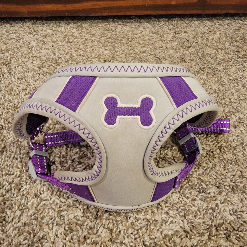 Purple and Gray Small Dog Harness